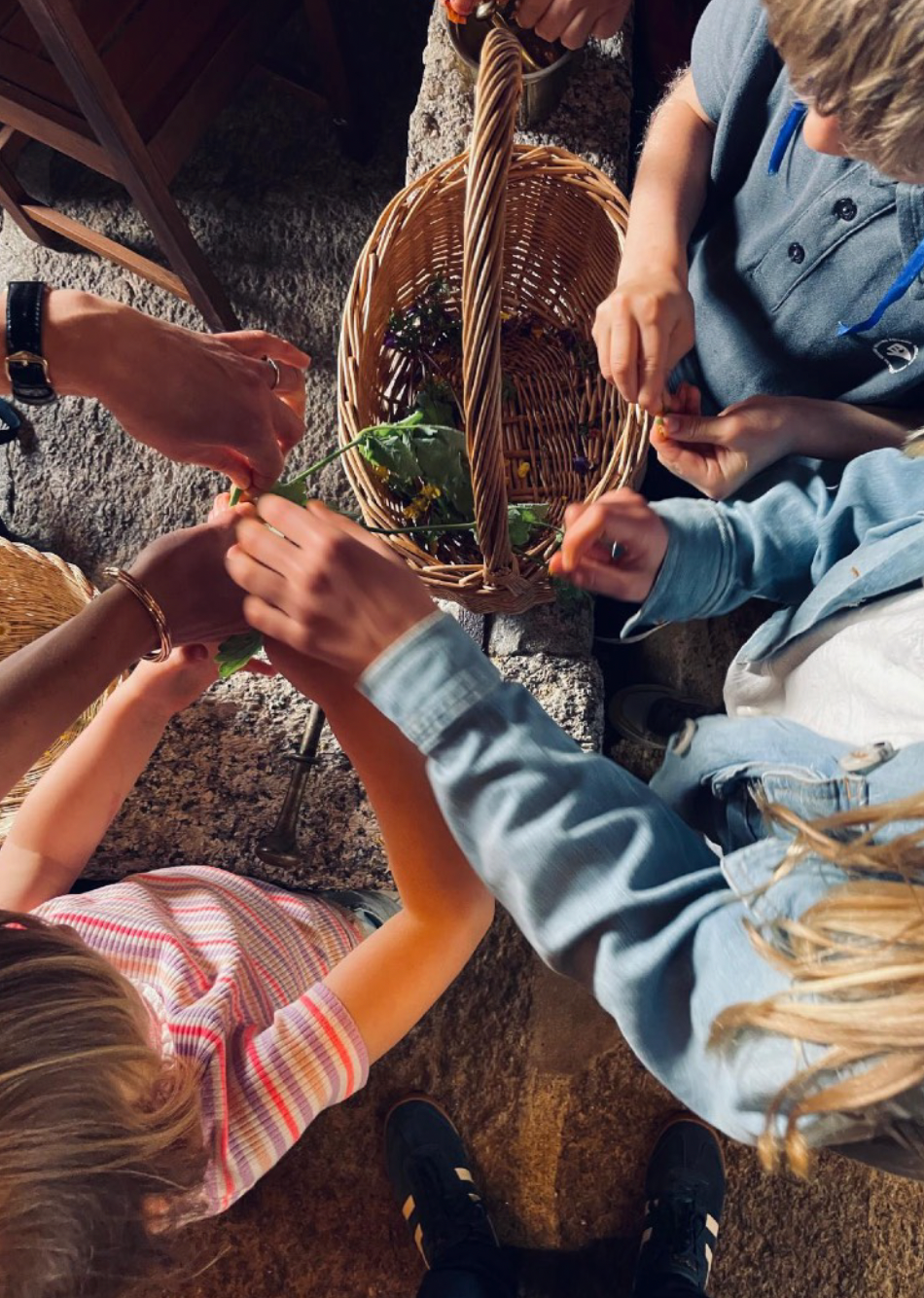 Botanical Painting Workshop "Creating Sustainable Watercolors: From Nature to Waste" with Isabel in Póvoa de Varzim, Portugal by subcultours