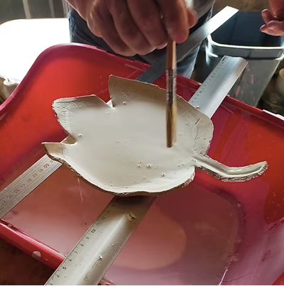 Taller de Cerámica "Raku Japonés" con Jean-Luc en Riec-sur-Bélon, Bretaña, Francia