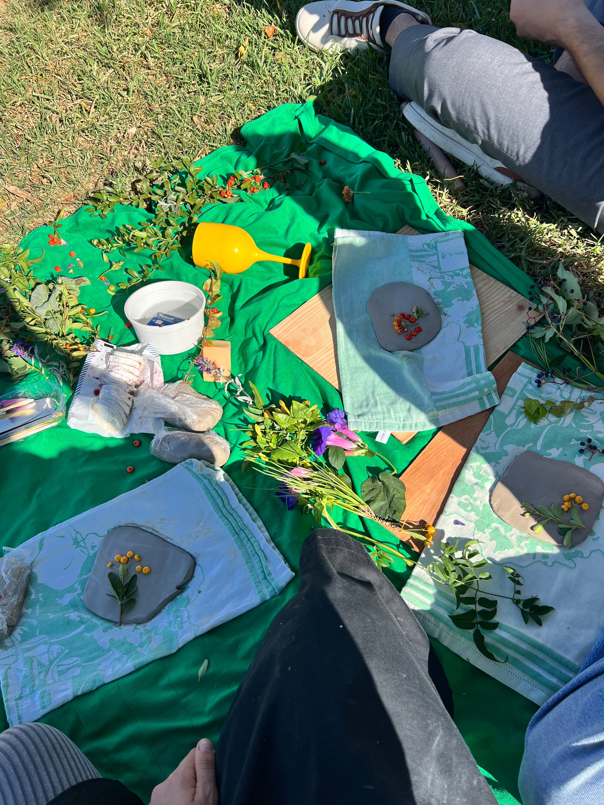 Outdoor setting with a green blanket, books, and nature items on grass