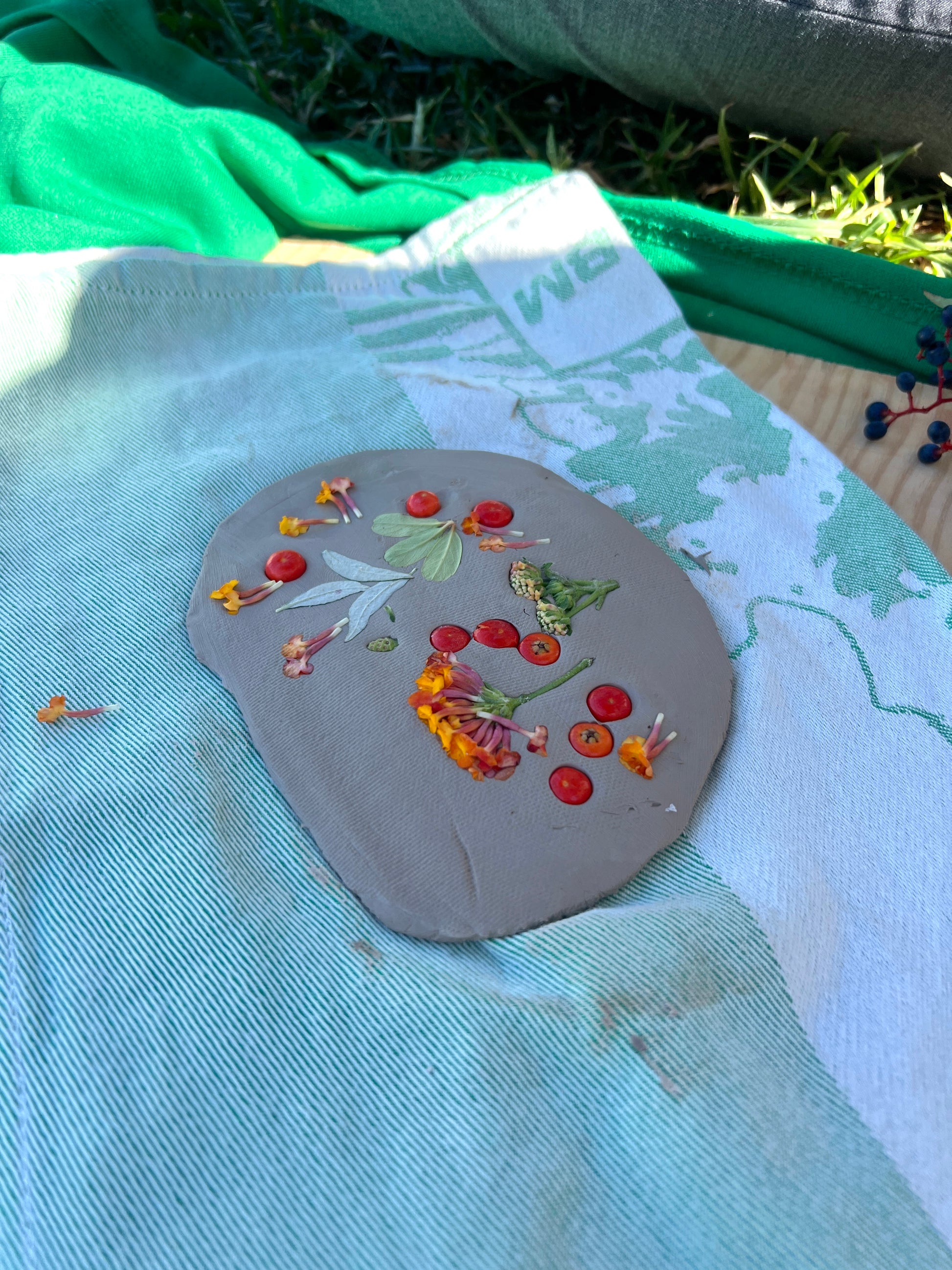 Artistic depiction of a face made from natural materials on a map