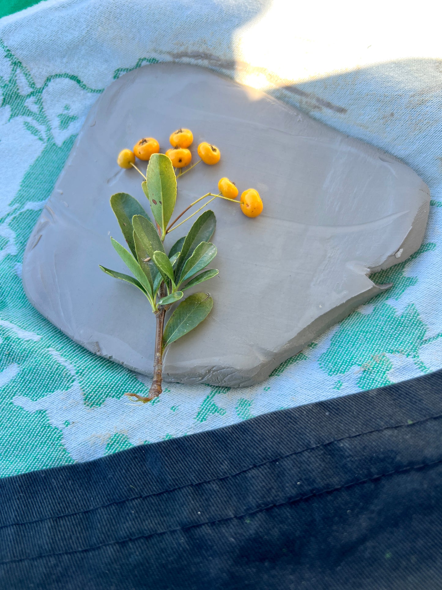 Small plant with yellow berries on a gray stone surface