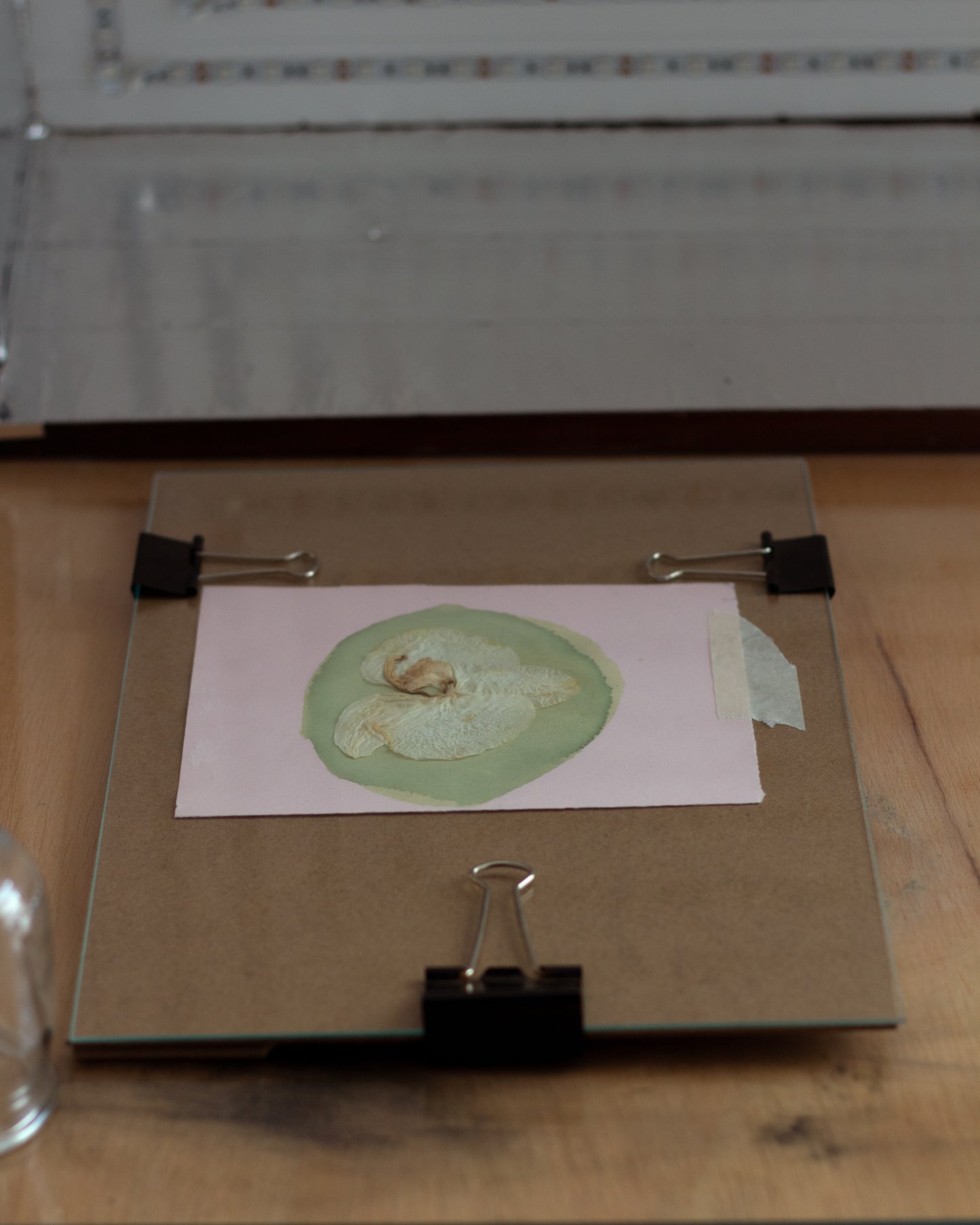 Cyanotype Workshop "Cyanotype on Paper and Fabric" with Inês in Porto, Portugal