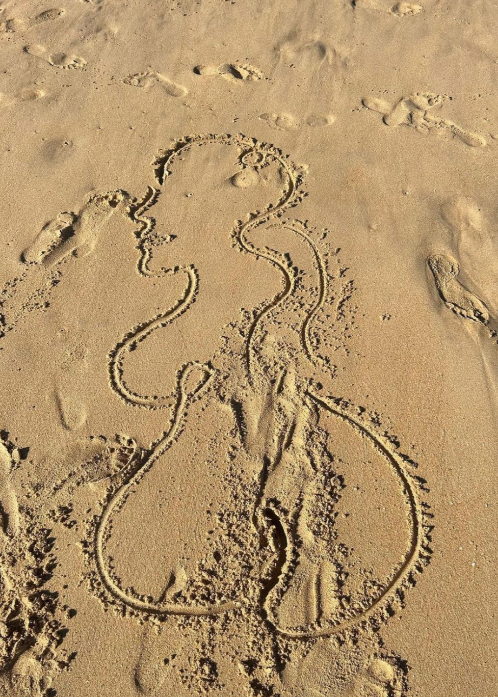 One-Line Drawing Workshop with Malandro in Geneva, Switzerland