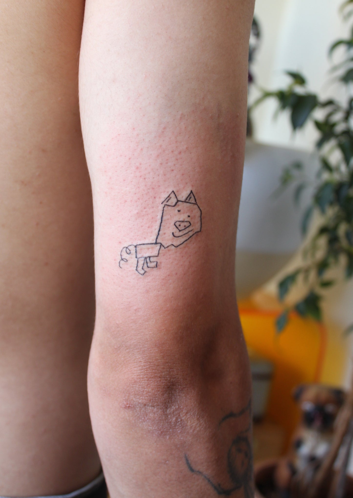 Tattoo Workshop "From Illustration to Tattoo, Methods, and Techniques for Beginners" with Daiena in Lisbon, Portugal by subcultours