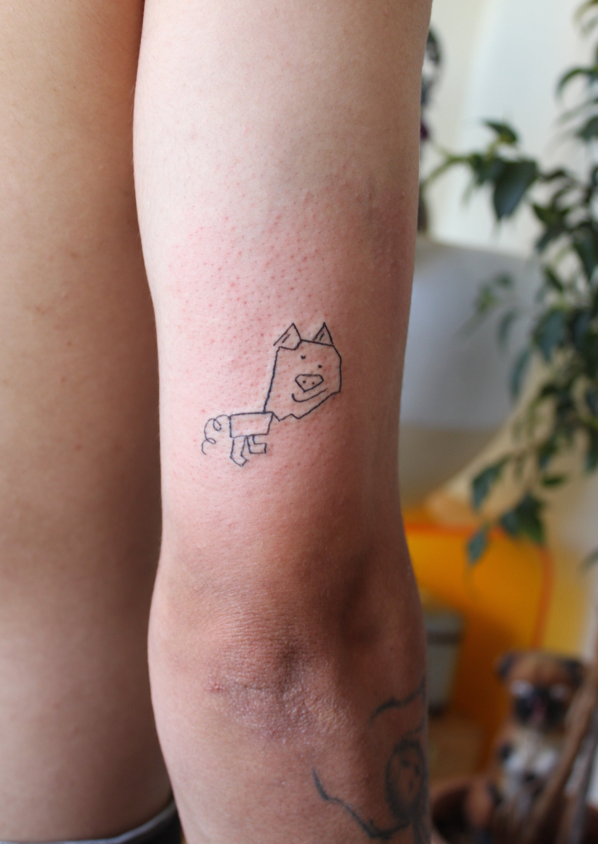 Tattoo Workshop "From Illustration to Tattoo, Methods, and Techniques for Beginners" with Daiena in Lisbon, Portugal by subcultours