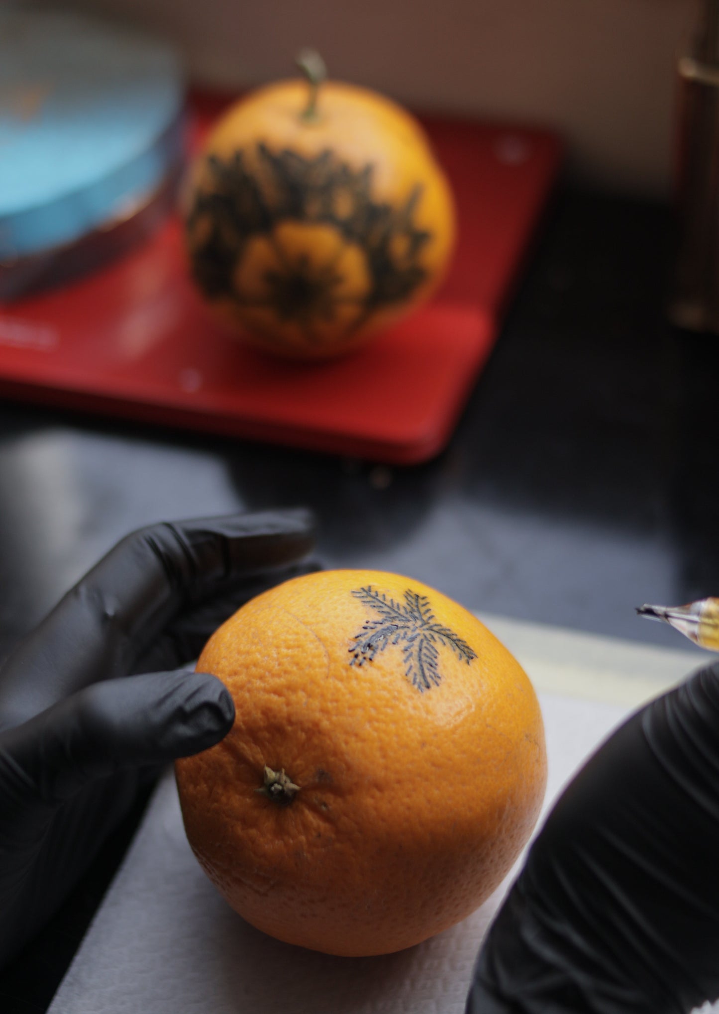 Tattoo Workshop "From Illustration to Tattoo, Methods, and Techniques for Beginners" with Daiena in Lisbon, Portugal