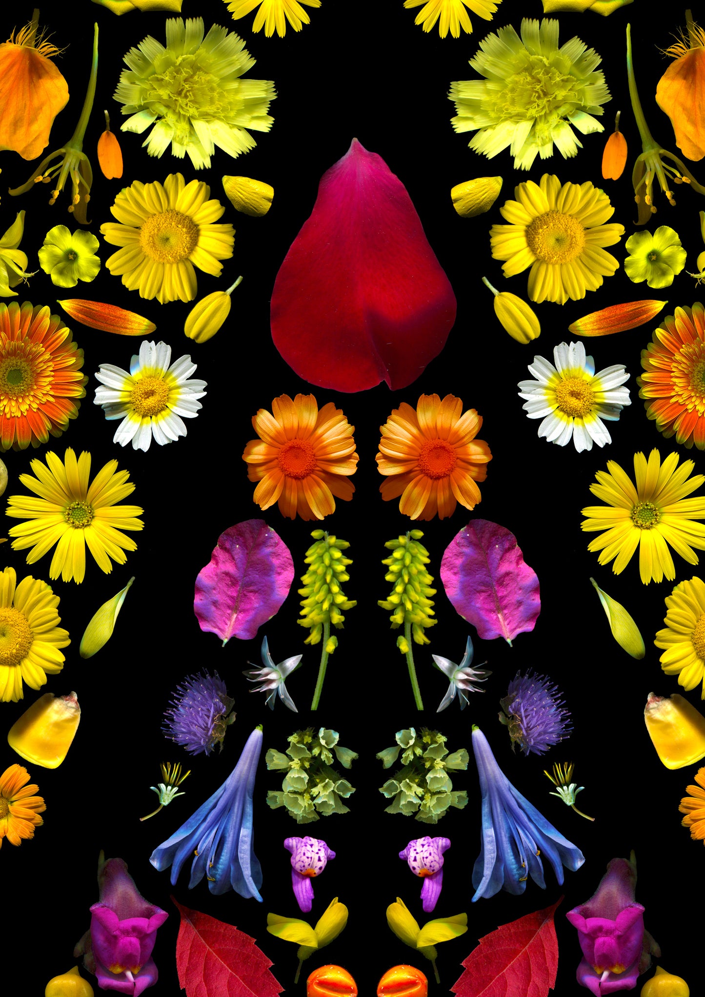 "WILL" Fine Art Print by Marzia Braggion