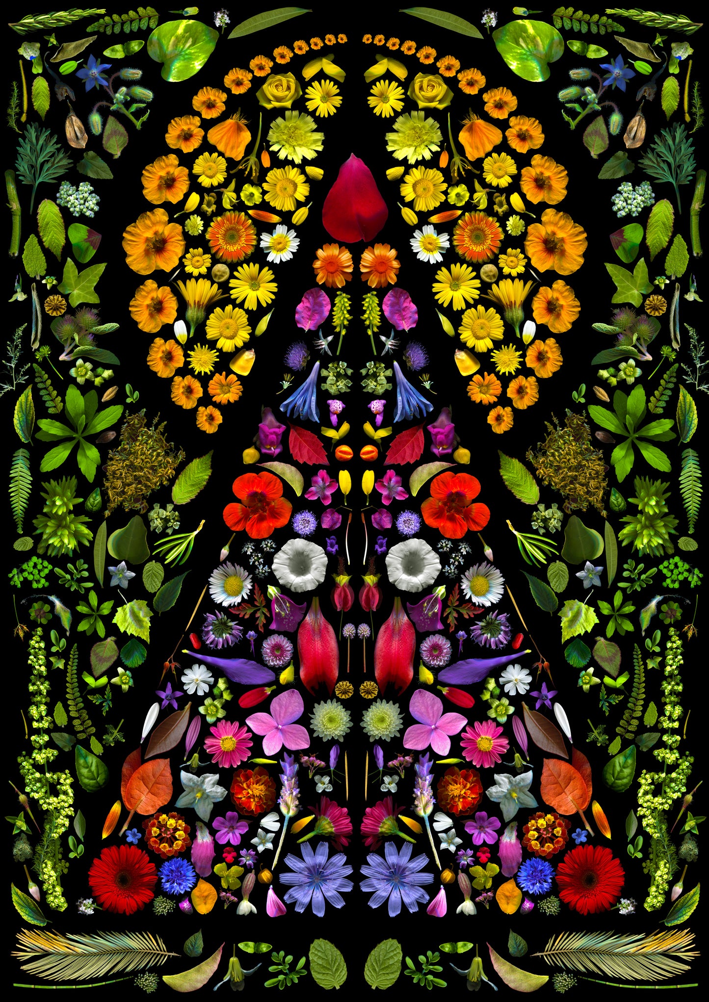 "WILL" Fine Art Print by Marzia Braggion