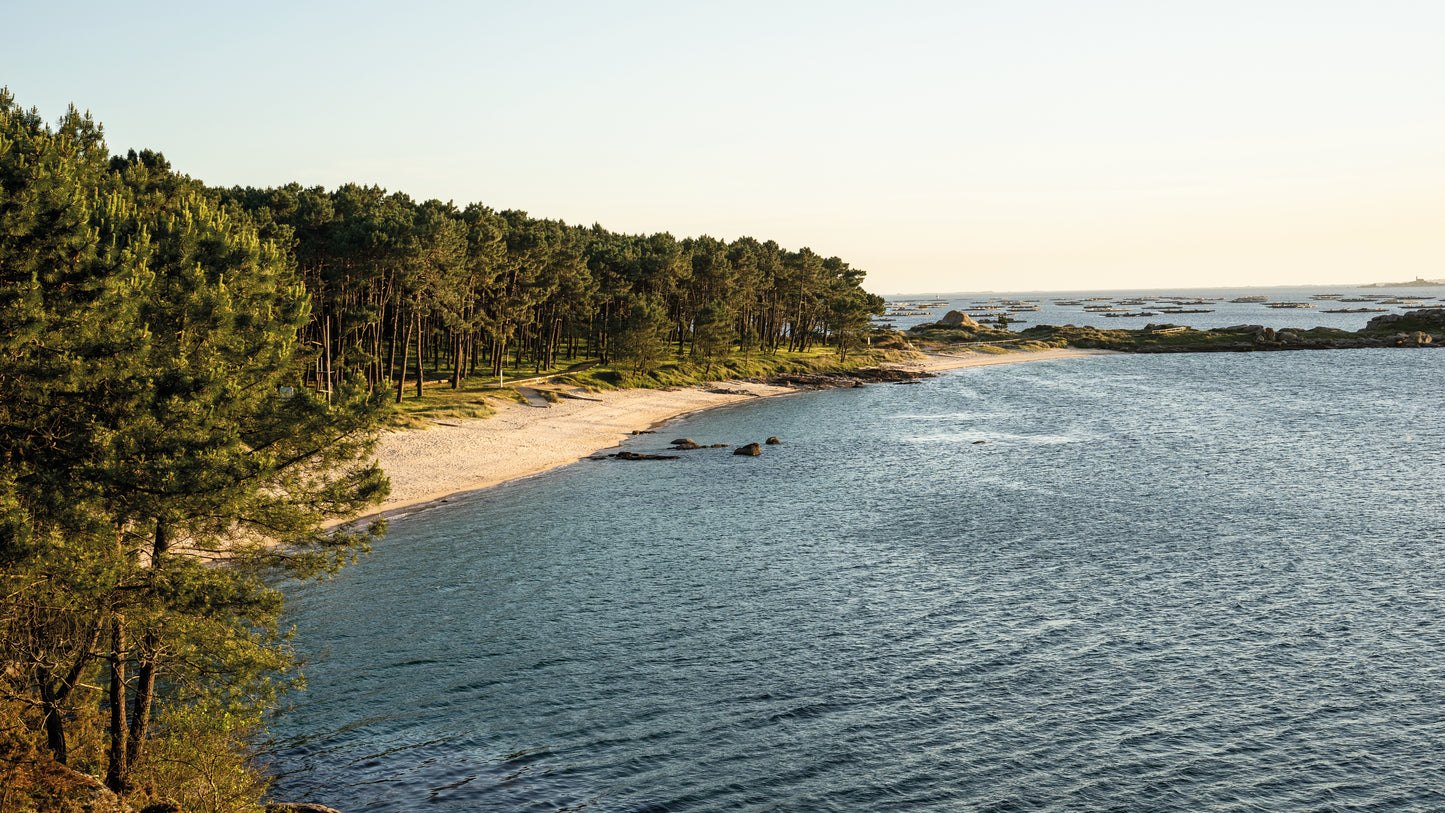 "Textile Printing with Stamps" Workshop with Andrea on island Illa de Arousa, Galicia by subcultours