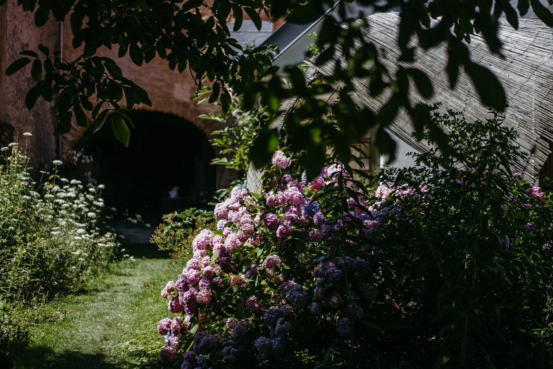 A lush garden scene with pink and purple hydrangea blooms in the foreground, green grass, dark leafy tree branches overhead, and a rustic stone building with an arched doorway in the background.