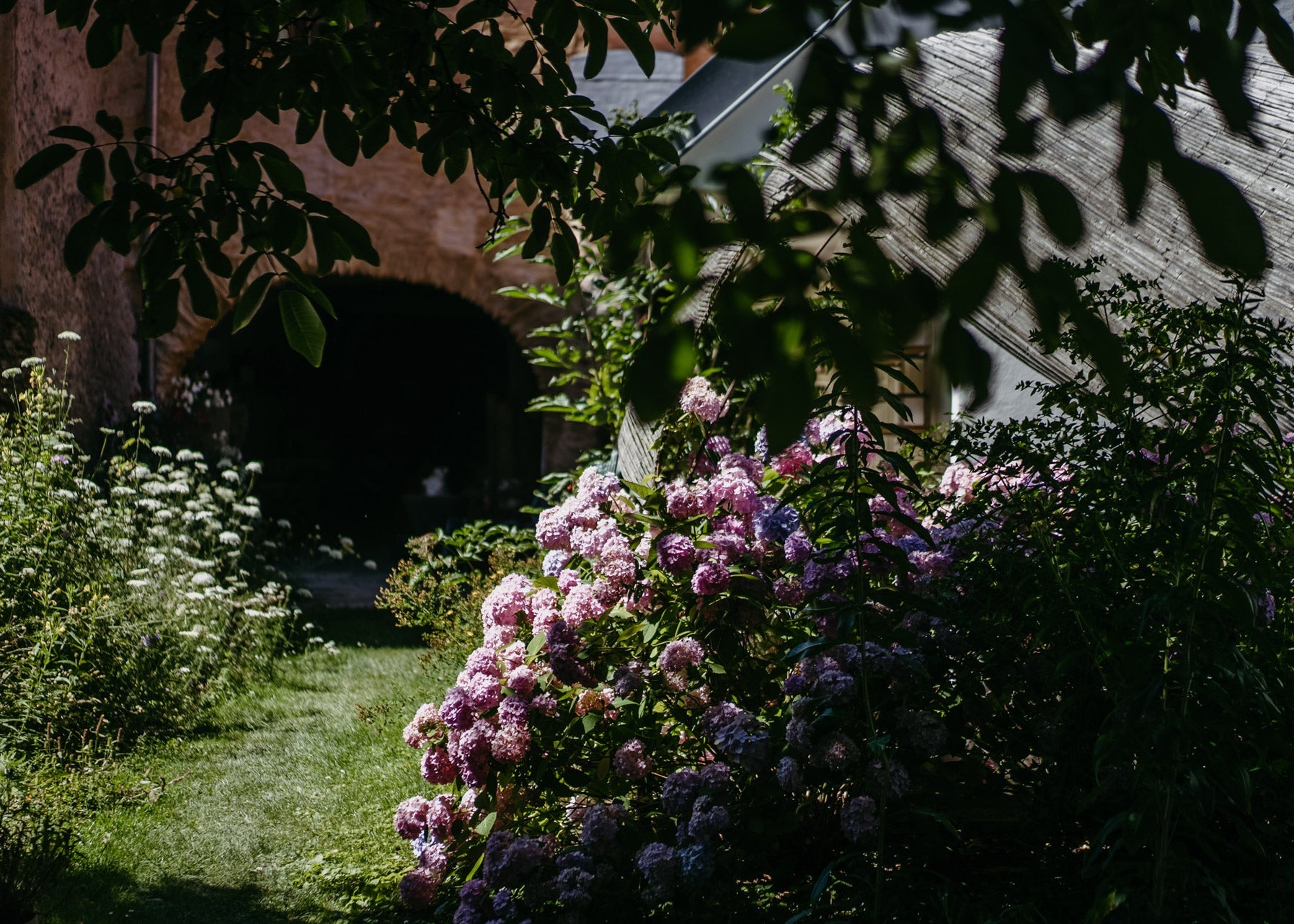 A lush garden scene with pink and purple hydrangea blooms in the foreground, green grass, dark leafy tree branches overhead, and a rustic stone building with an arched doorway in the background.