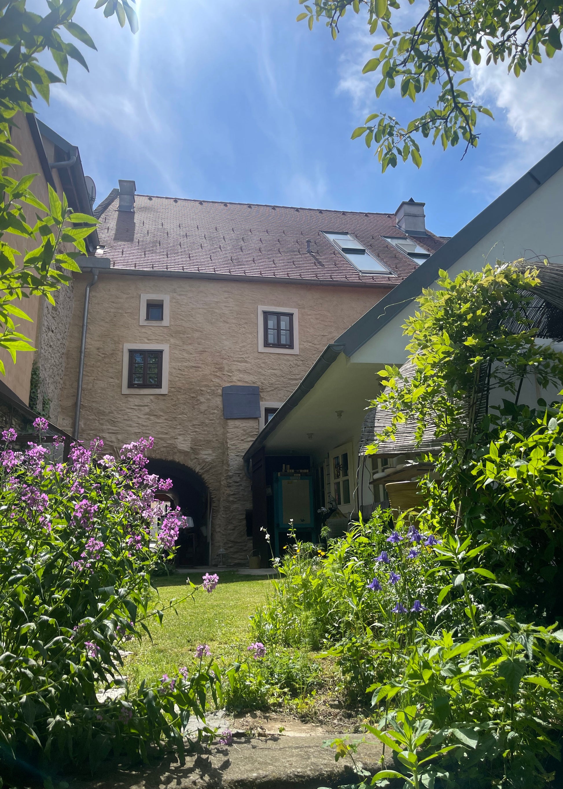 A sunny outdoor courtyard scene with a stone building, green lawn, climbing plants, and purple flowers in the foreground under a blue sky.