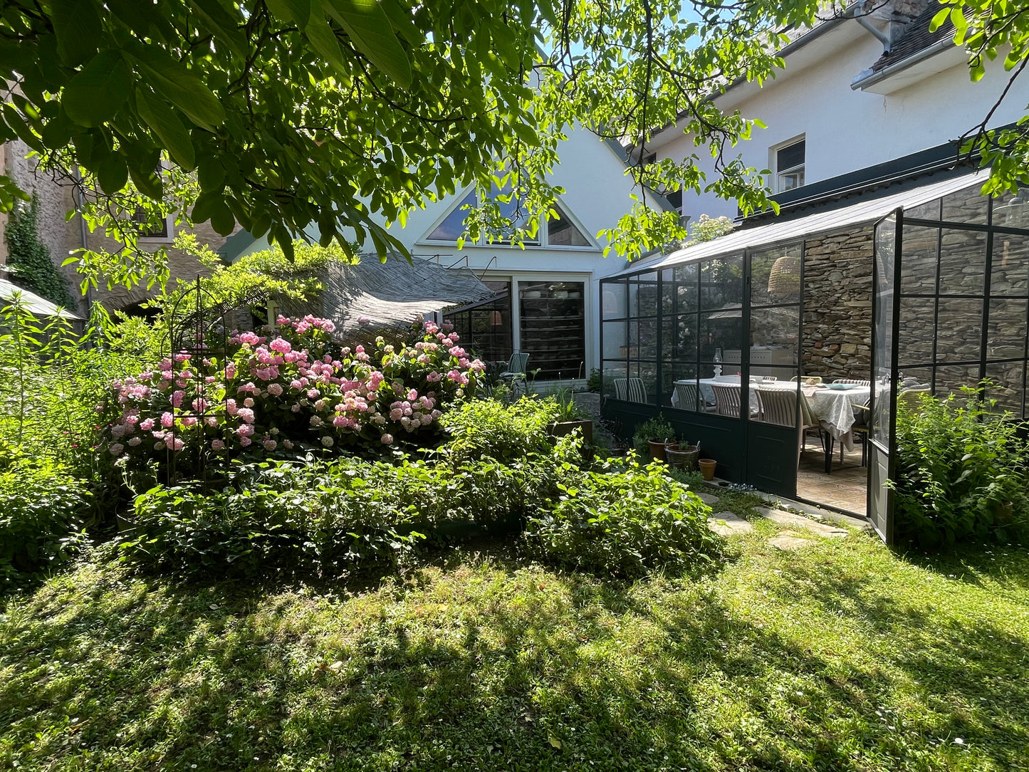 A lush backyard garden with green grass, a large bush of pink flowers, and a glass patio enclosure attached to a white house.