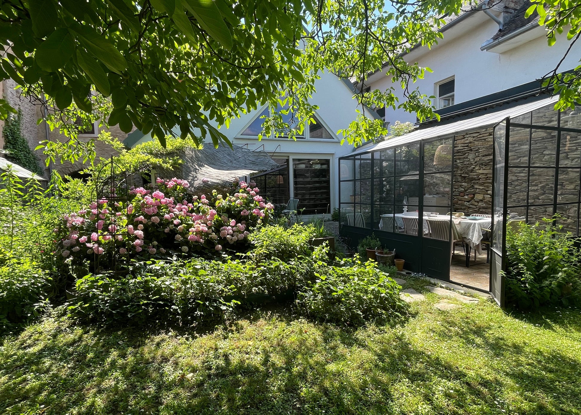A lush backyard garden with green grass, a large bush of pink flowers, and a glass patio enclosure attached to a white house.
