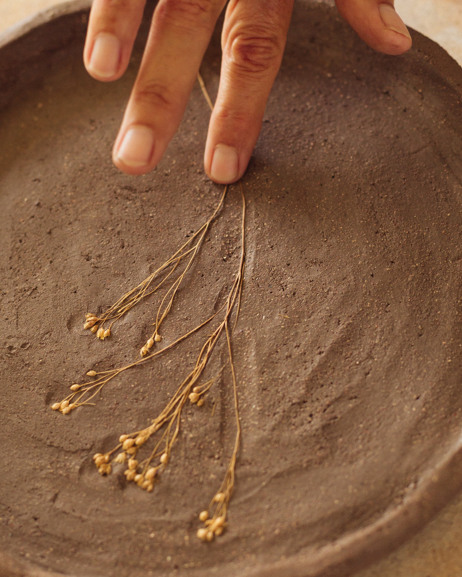 Hand placing a small plant on a textured brown surface
