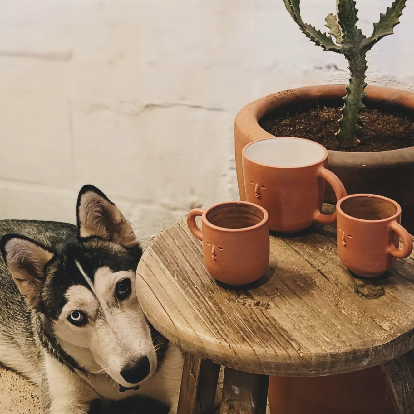 Ceramic Workshop "Throwing a Utility Object on the Pottery Wheel" with Tania and Andrés in Hermosillo, Sonora, Mexico by subcultours