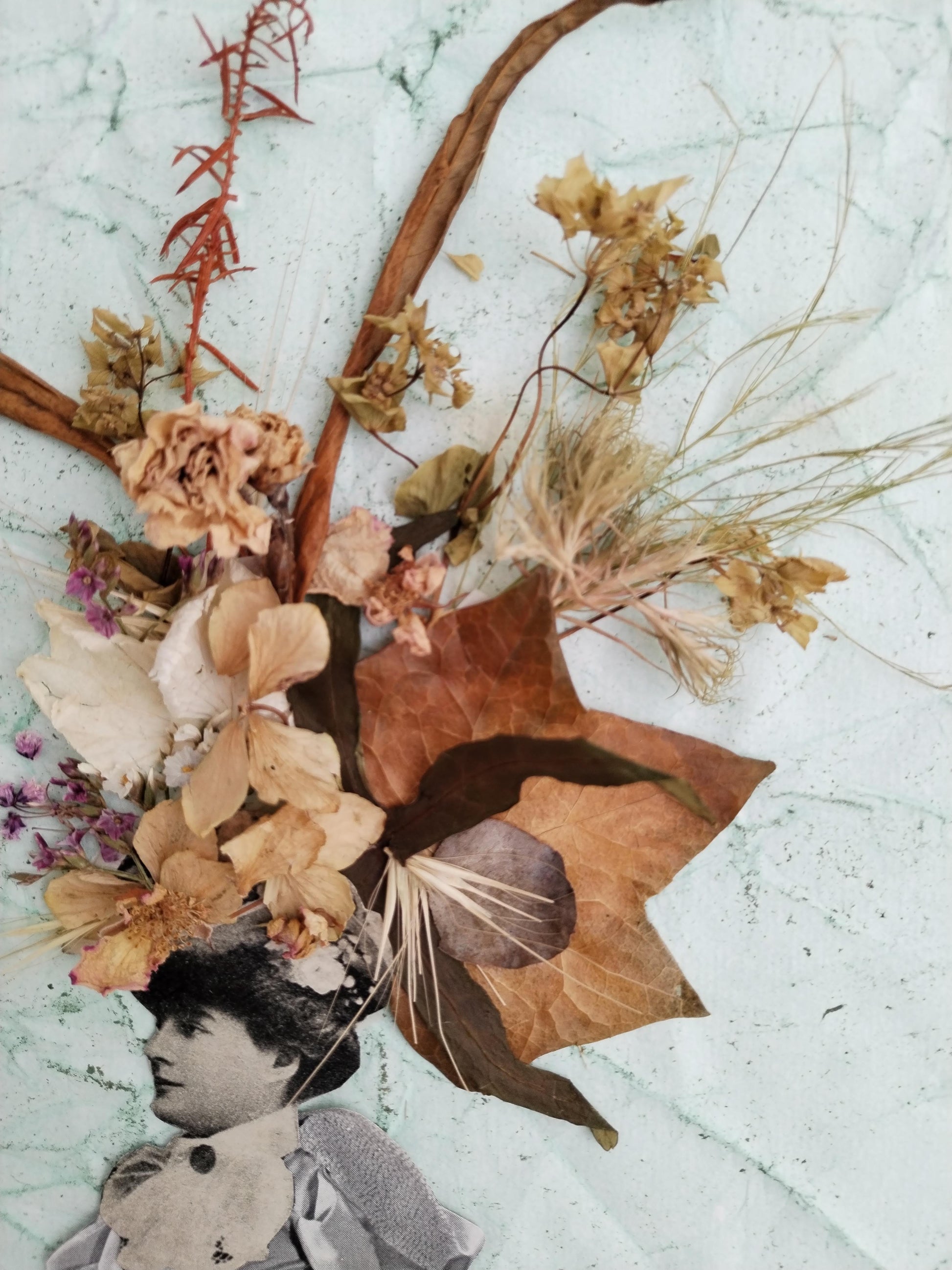 Collage Workshop "Collage with Dried Flowers and Images" with Polo in A Coruña, Spain by subcultours