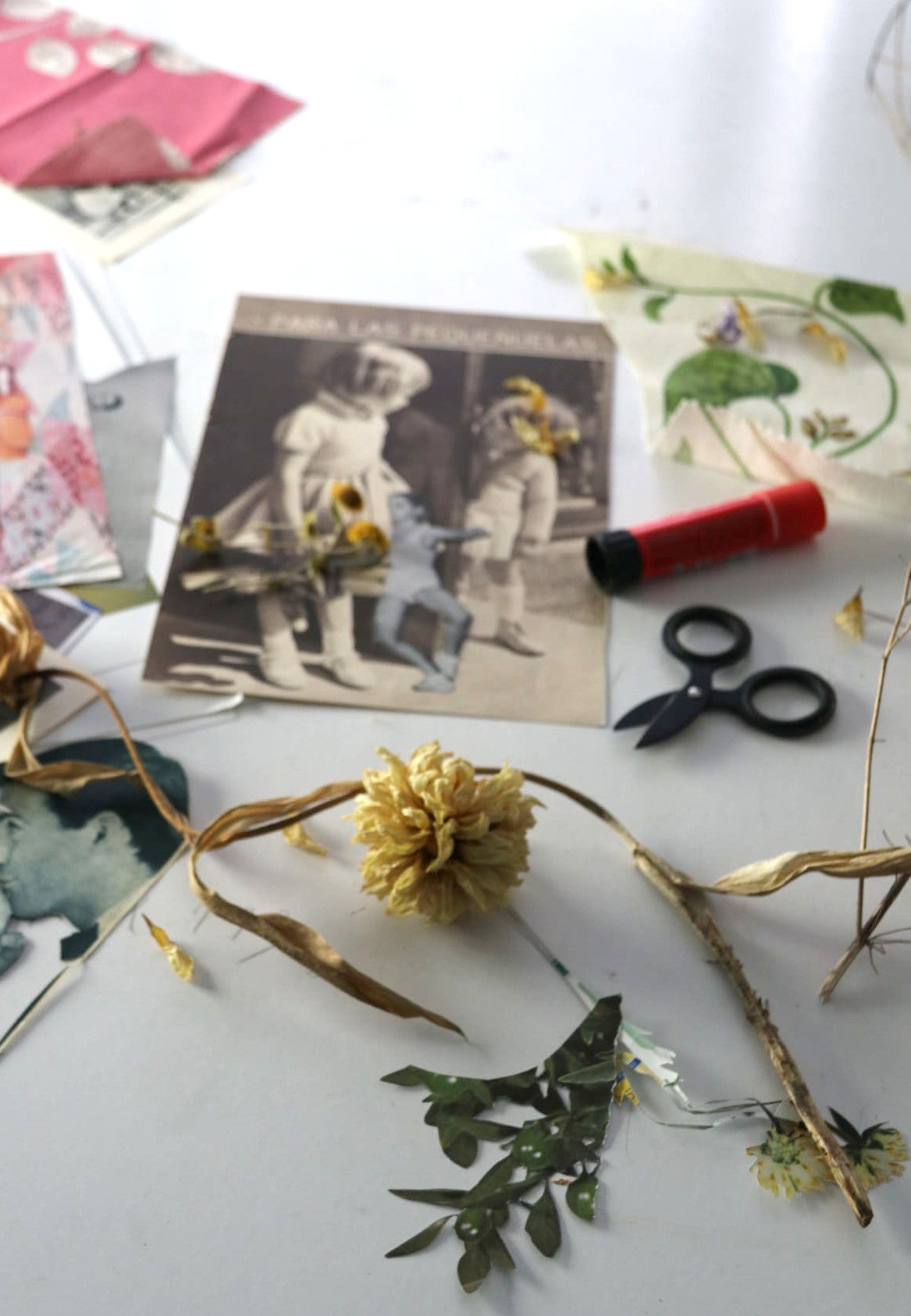 Collage Workshop "Collage with Dried Flowers and Images" with Polo in A Coruña, Spain by subcultours