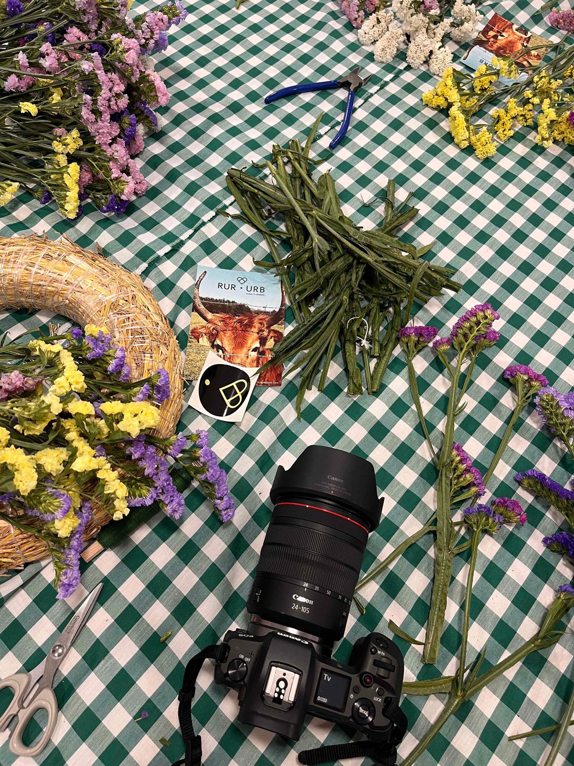 Floral Workshop and Tasting of Local Products with Laura in Lugo, Galicia, Spain by subcultours