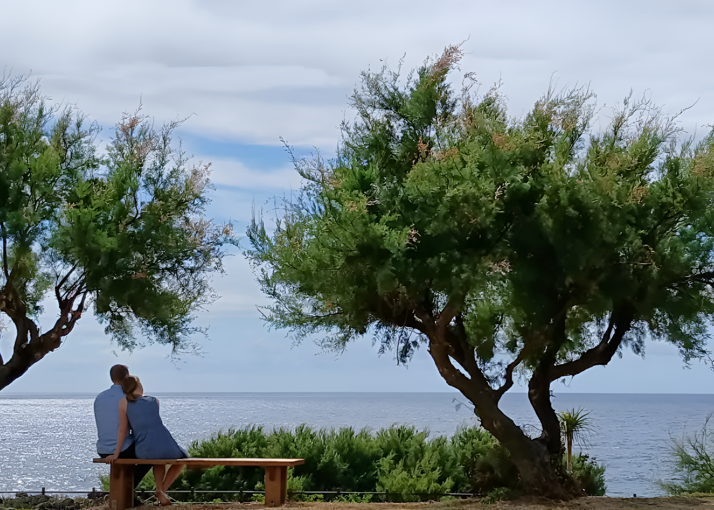 Full-Day "Sounds of Silence" Corvo Experience with David on Corvo Island, Madeira, Portugal, trees, by subcultours