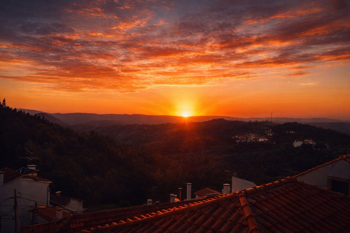 Immersive Shou Sugi Ban 6 Day Art Retreat "Le Feu du Phénix" with Bernard in Serra do Açor, Coimbra, Portugal