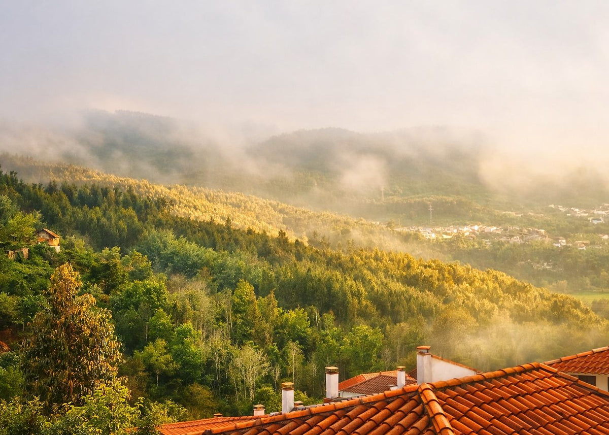 A misty mountain landscape with green and golden forested hills, low-hanging clouds, and terracotta tiled rooftops in the foreground.