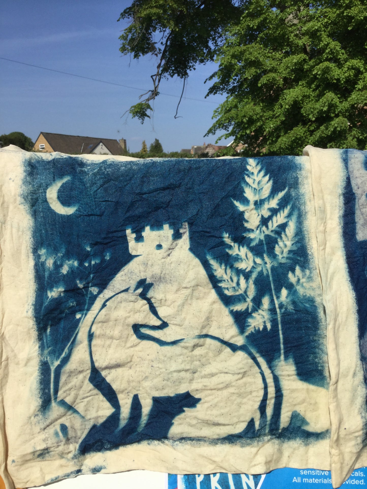 "Making Photographs without a Camera" Cyanotype Workshop with Alun in Porto, Portugal