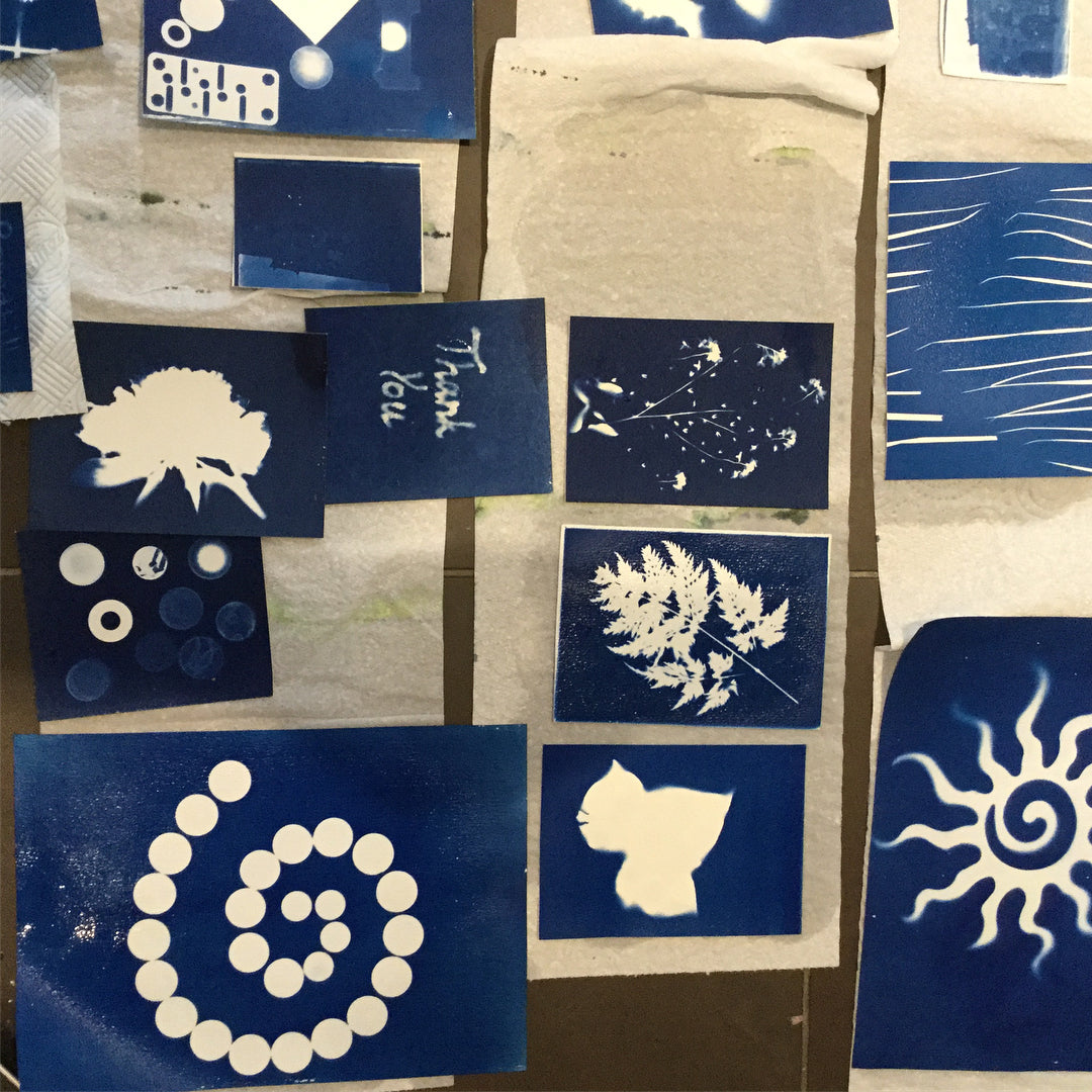"Making Photographs without a Camera" Cyanotype Workshop with Alun in Porto, Portugal