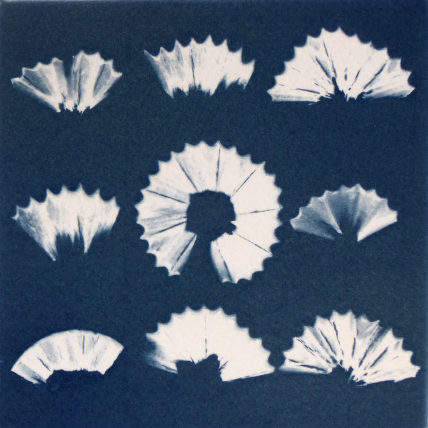 "Making Photographs without a Camera" - Cyanotype Workshop in Porto, Portugal