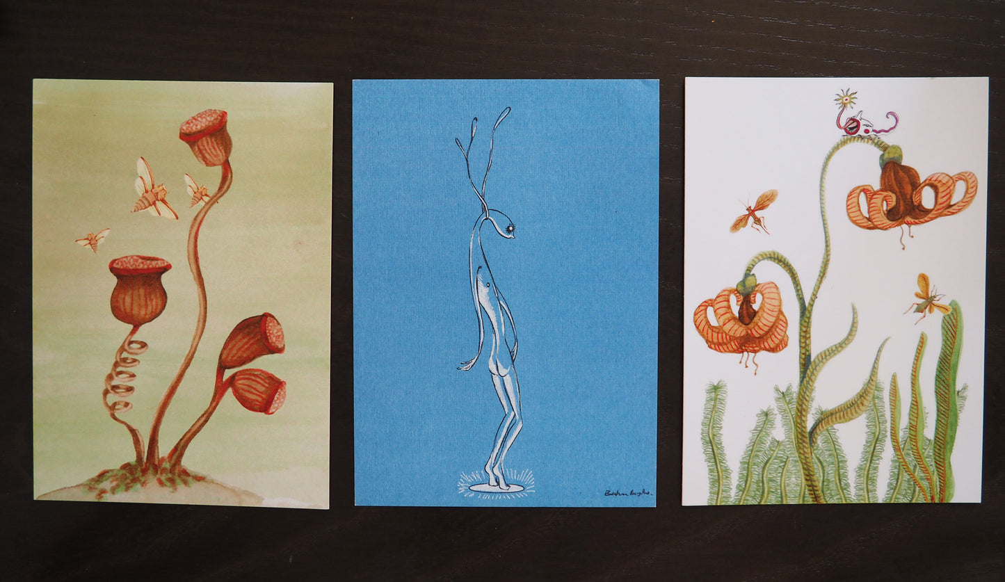 „Postkarten-Set“ von Beatriz Bagulho