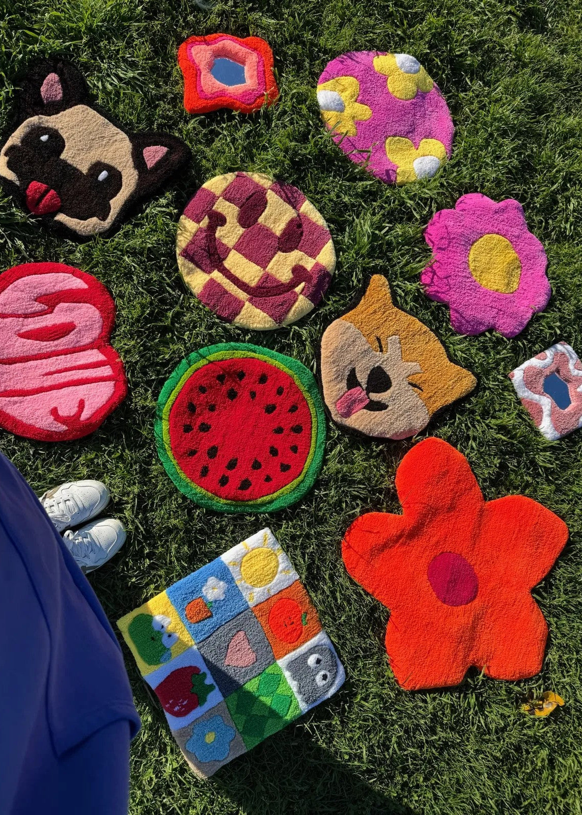 Assorted colorful pet toys on grass