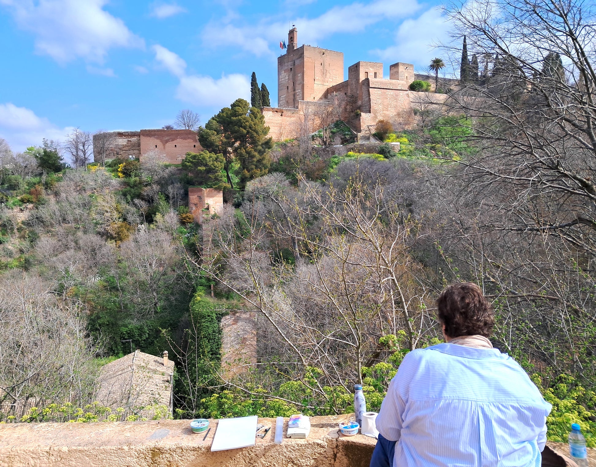 Person painting a scenic view of a castle on a hill with trees and blue sky.
