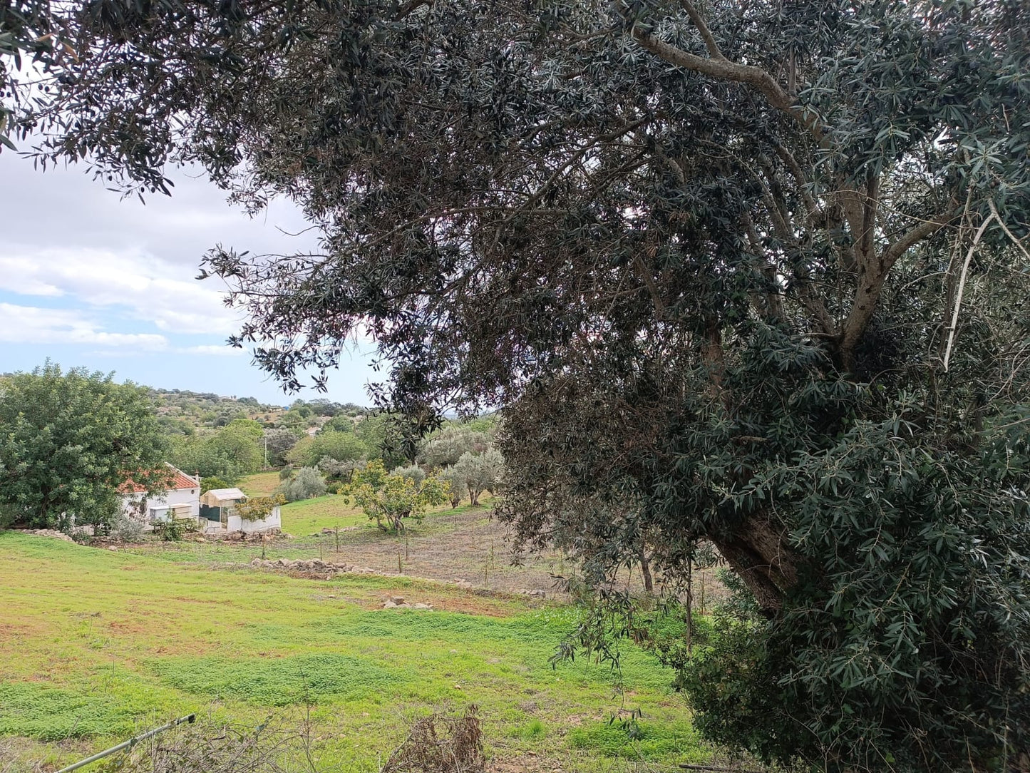 Vocal Workshop "Enhance Your Natural Singing Voice" with Mauro in Faro, Portugal by subcultours