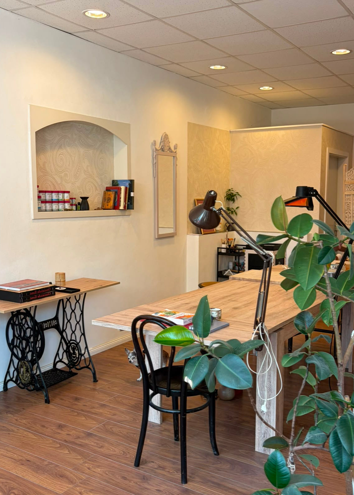 A cozy home office or study room with a wooden desk, black chair, adjustable desk lamps, a sewing machine table, shelf with books, and a large green plant in the foreground.