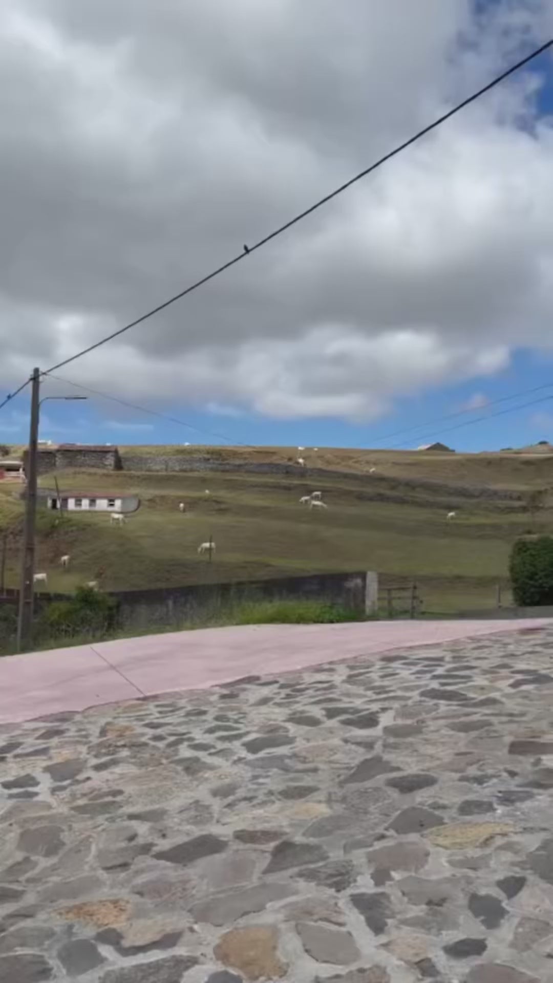 Pottery Workshop with Marina on Santa Maria Island, Azores, Portugal, by subcultours