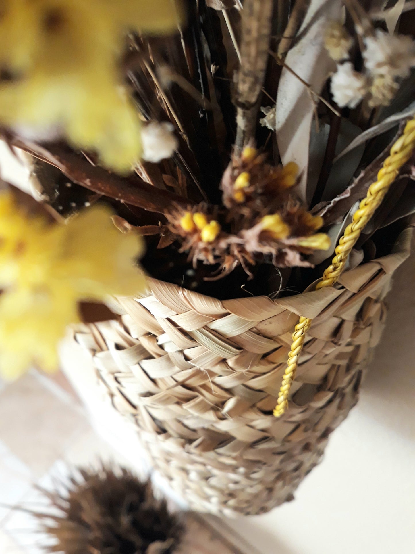 "Empreita de Palma" - Traditional Algarvian basketry Workshop with Ysaline in Aljezur, Portugal