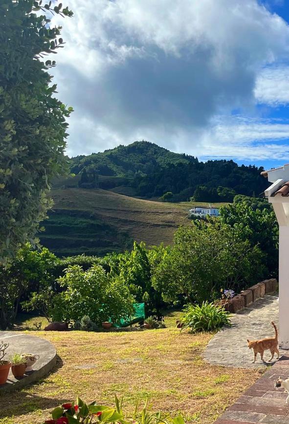 Pottery Workshop with Marina on Santa Maria Island, Azores, Portugal by subcultours