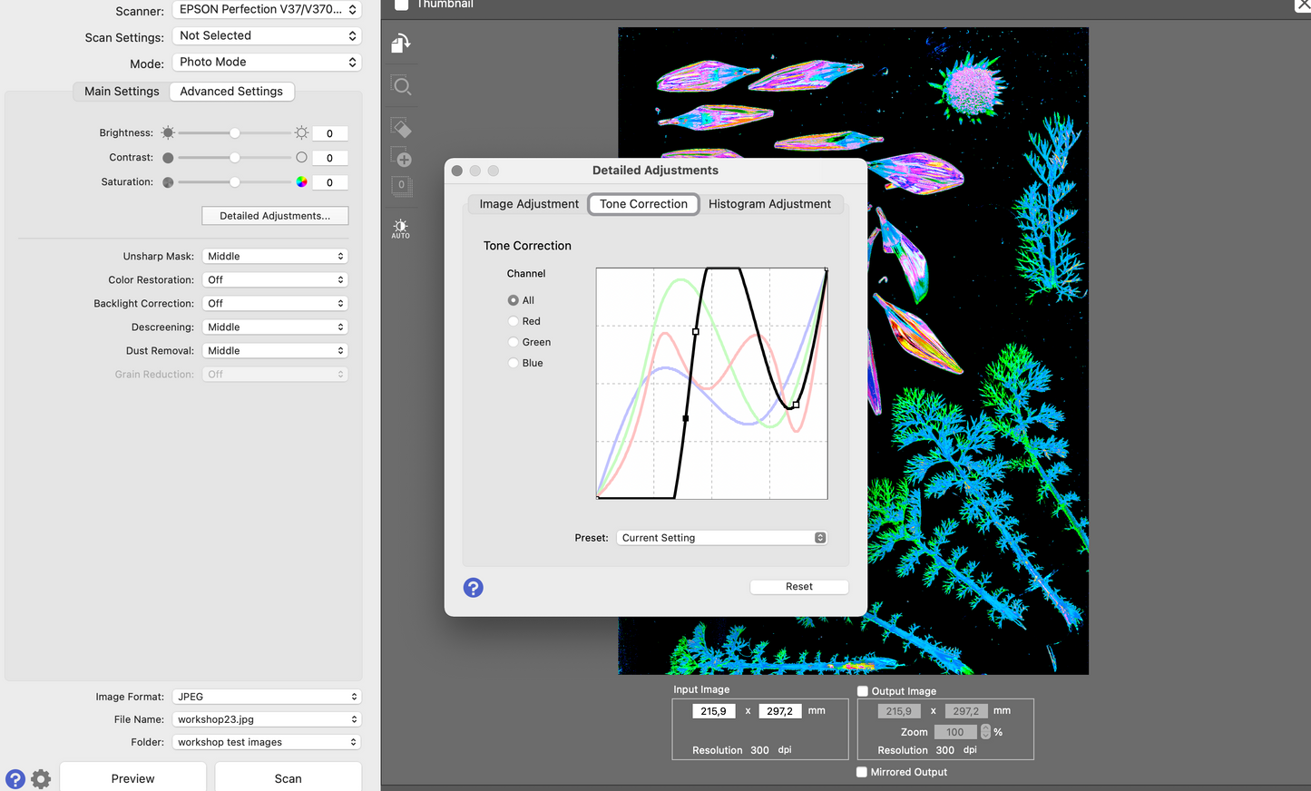 "Scanography" -the Art of Scanner Photography- Workshop with Marzia in Lisbon, Portugal