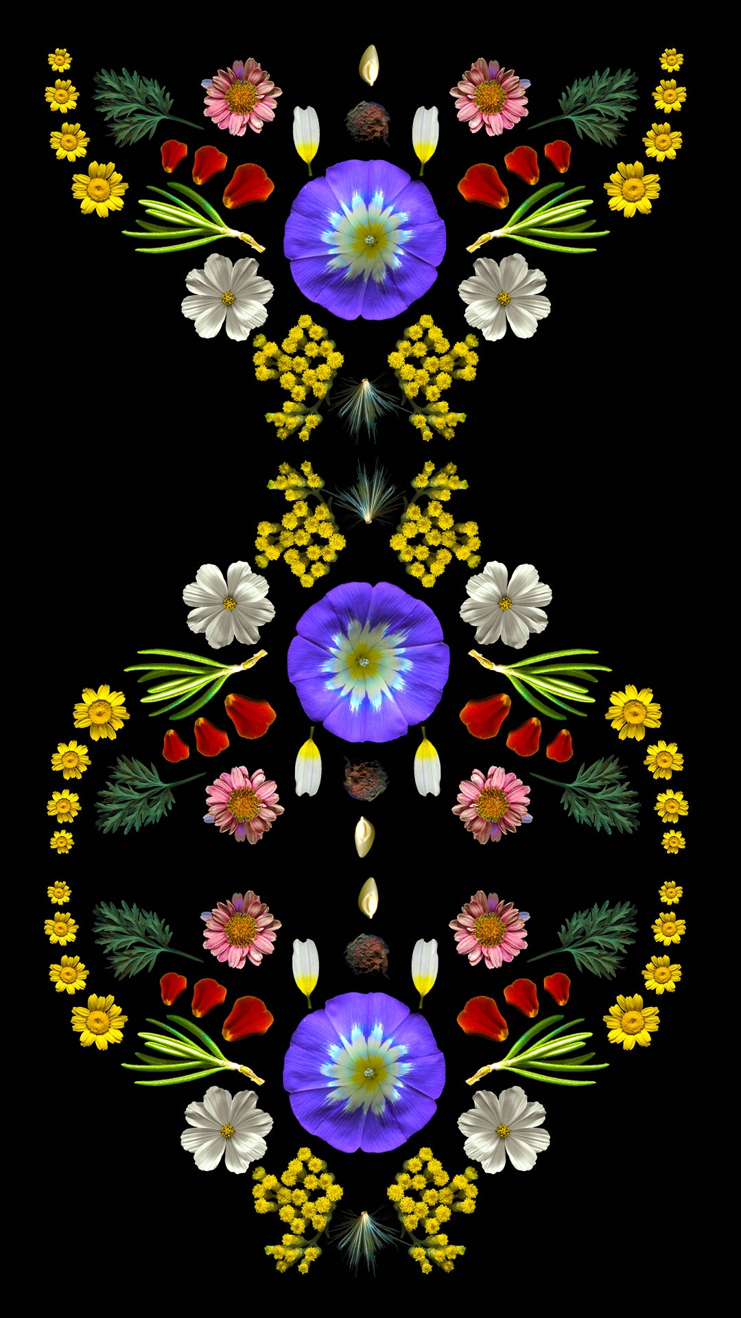 Scanography - the Art of Scanner Photography Workshop with Marzia in L ...