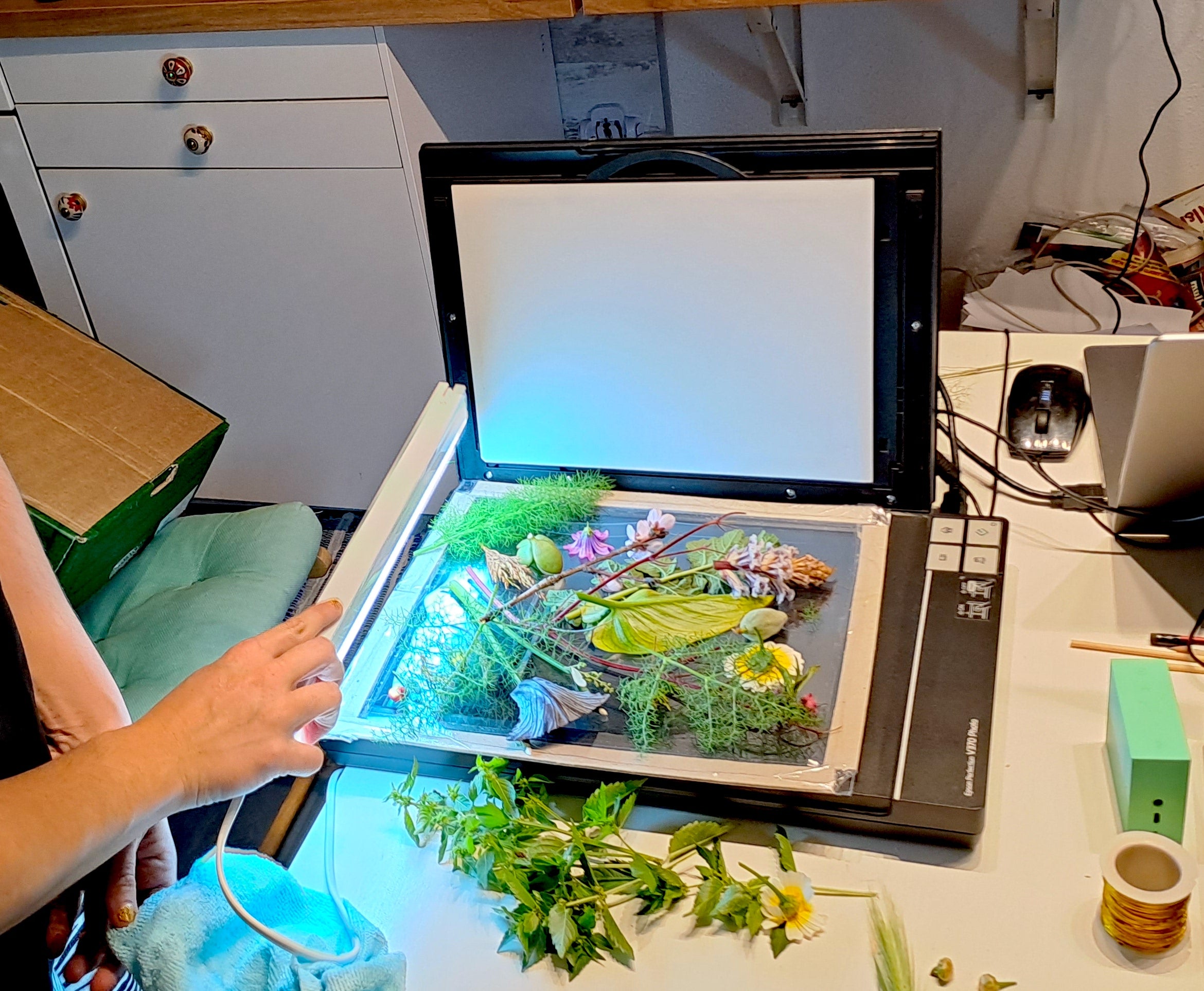 Scanography - the Art of Scanner Photography Workshop with Marzia in L ...