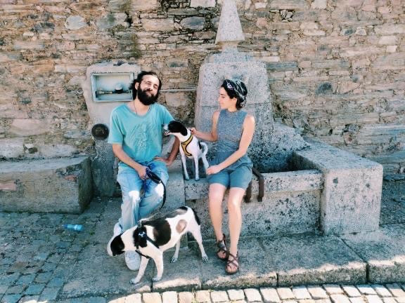 Veganized Portuguese Food Workshop and Animal Sanctuary Tour with Liliana and Pedro in Castelo Branco, Portugal by subcultours